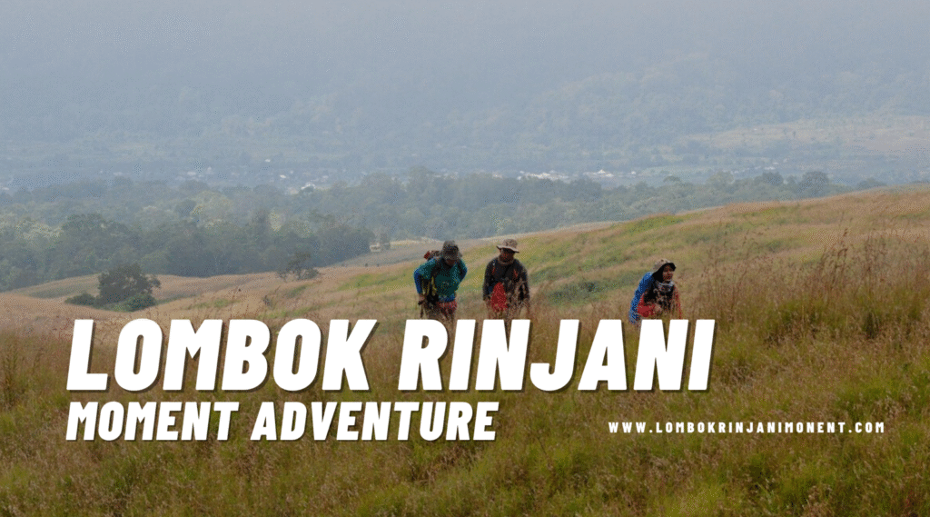 Three hikers trekking uphill through tall, dry savanna grass near the base of Mount Rinjani, with forest and valleys visible in the distance. The LRM logo is overlaid.