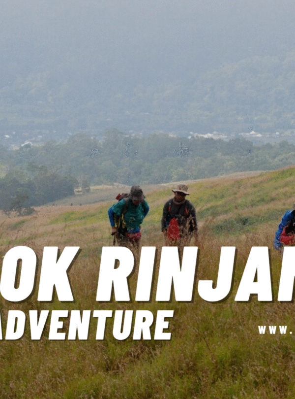Three hikers trekking uphill through tall, dry savanna grass near the base of Mount Rinjani, with forest and valleys visible in the distance. The LRM logo is overlaid.