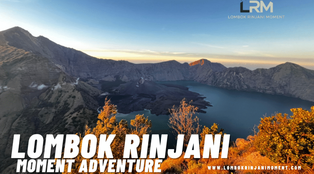 Panoramic view of Mount Rinjani's vast caldera, Segara Anak lake with Gunung Barujari cone, framed by sunlit green foliage in the foreground at sunrise/sunset. The LRM logo is overlaid.