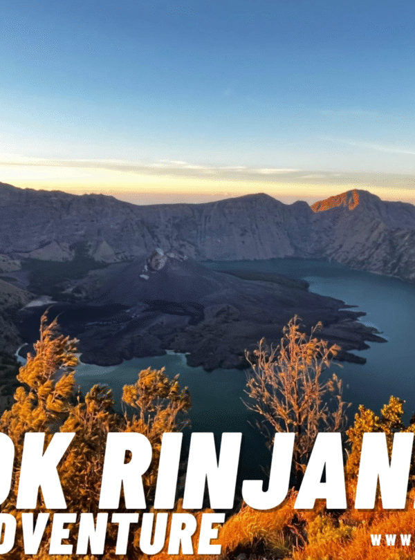 Panoramic view of Mount Rinjani's vast caldera, Segara Anak lake with Gunung Barujari cone, framed by sunlit green foliage in the foreground at sunrise/sunset. The LRM logo is overlaid.