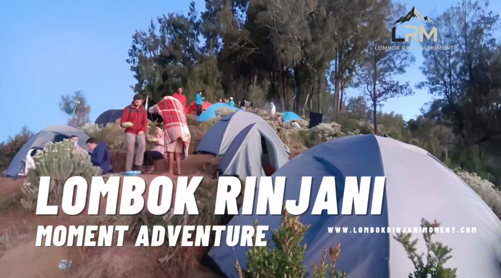 Young female hiker smiling brightly and wearing a cap and backpack on a sunny, grassy slope of Mount Rinjani.