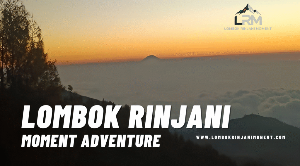 Sunrise view from Mount Rinjani showing mountain peaks emerging above a dense layer of clouds and fog, bathed in orange and yellow light.