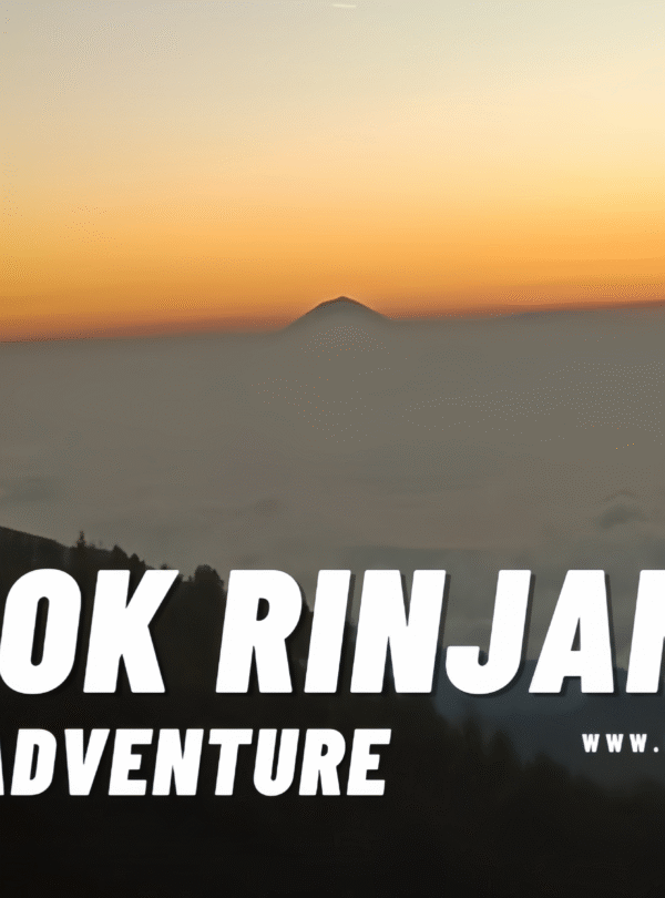 Sunrise view from Mount Rinjani showing mountain peaks emerging above a dense layer of clouds and fog, bathed in orange and yellow light.