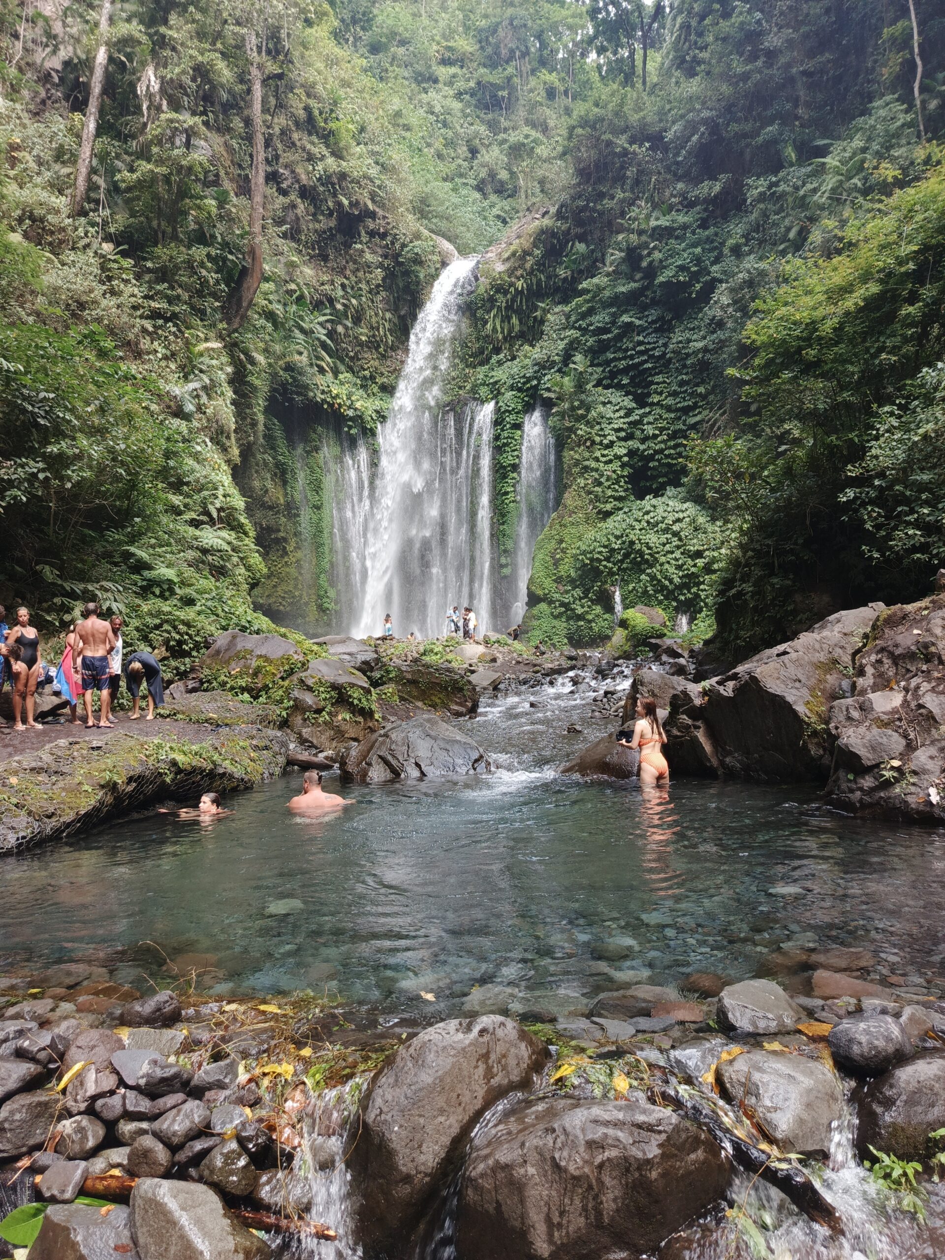 A stunning view of Tiu Kelep Waterfall, with crystal-clear water cascading down into a natural pool, surrounded by lush tropical greenery and towering trees. The vibrant green of the forest contrasts beautifully with the cool, refreshing water.