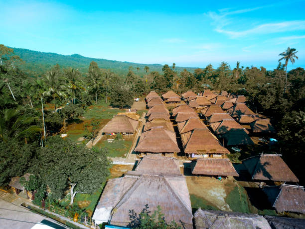 A scenic view of Senaru village, with traditional Sasak houses nestled among lush green landscapes, and the majestic Mount Rinjani towering in the background. The serene village offers a glimpse of the rural beauty of Lombok.