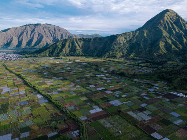 A breathtaking view of Sembalun village, with lush green rice fields, traditional houses, and the towering slopes of Mount Rinjani in the background. The serene landscape is framed by a clear blue sky.