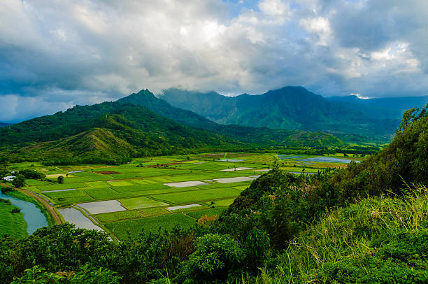 A breathtaking view of Sembalun village, with lush green rice fields, traditional houses, and the towering slopes of Mount Rinjani in the background. The serene landscape is framed by a clear blue sky.