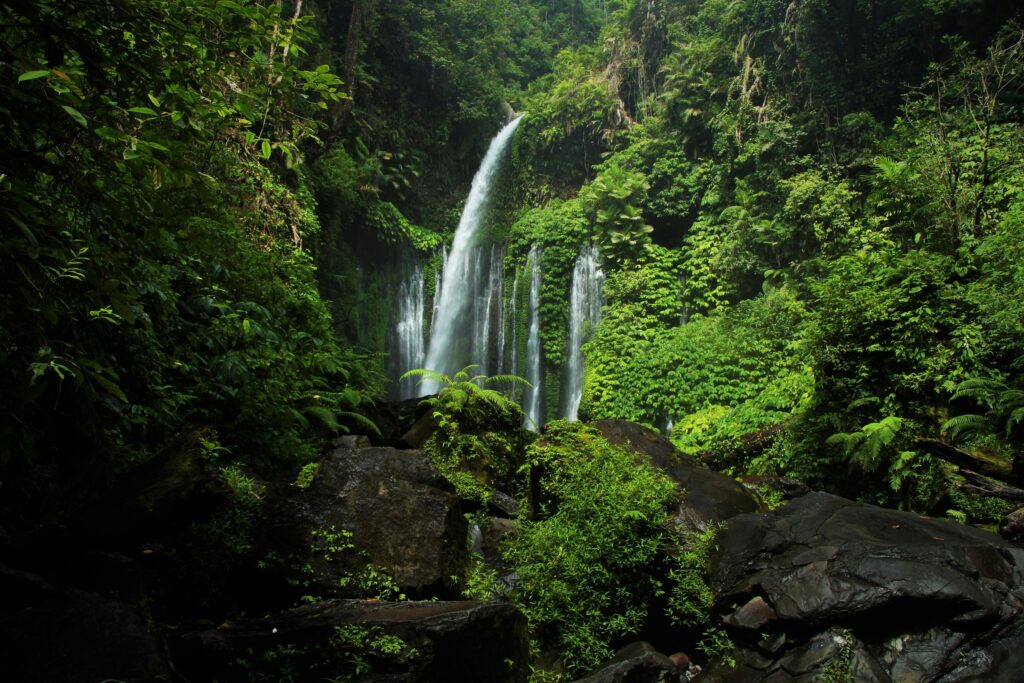 Tiu Kelep Waterfall cascades through lush forest in West Nusa Tenggara, Indonesia.