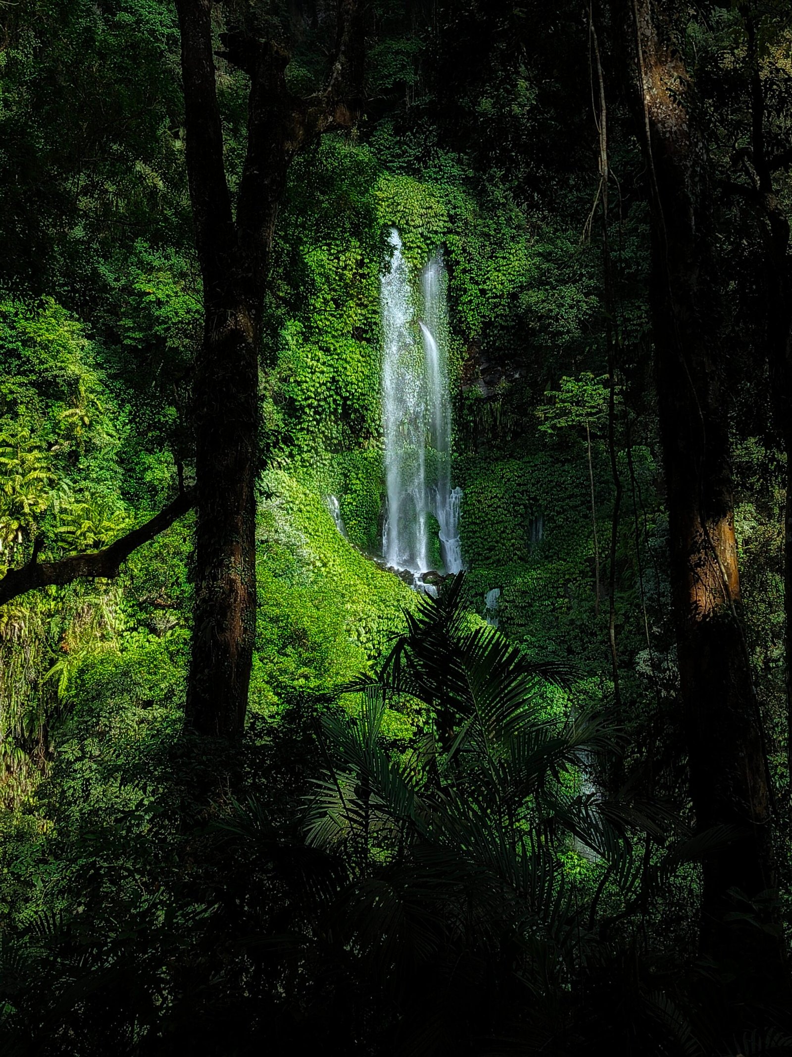Lombok Waterfall Highland Tour - Sendang Gile