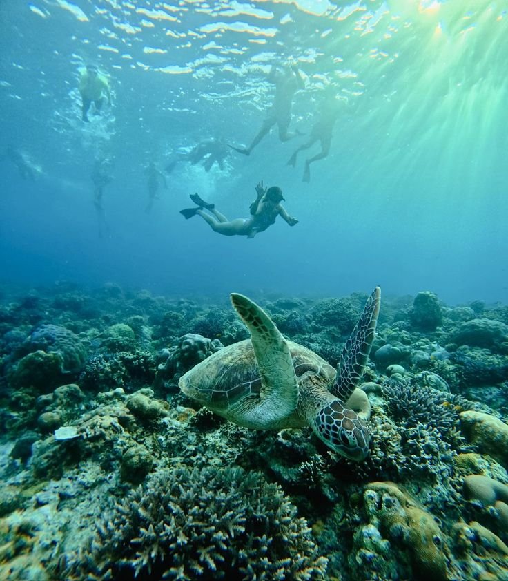 Gili Air Lombok island hopping and beach lunch.